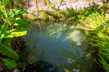 View of Fervedouro Mumbuca, a unique karst spring located at Jalapão State Park - Tocantins, Brazil