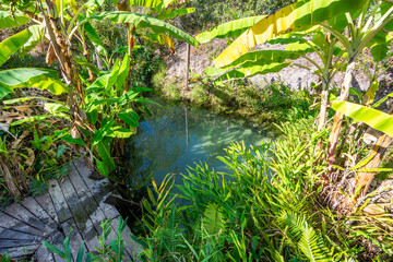 View of Fervedouro Mumbuca, a unique karst spring located at Jalapão State Park - Tocantins, Brazil