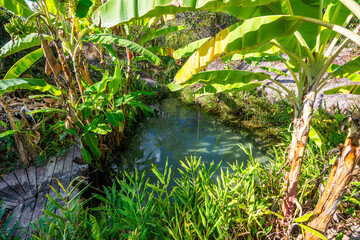 View of Fervedouro Mumbuca, a unique karst spring located at Jalapão State Park - Tocantins, Brazil