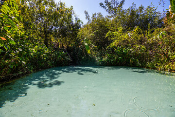 View of Fervedouro Por Enquanto, a unique karst spring located at Jalapão State Park - Tocantins, Brazil