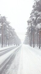 A snowy road lined with tall trees, creating a serene winter landscape.