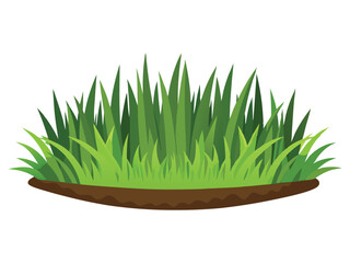 grass on white background
