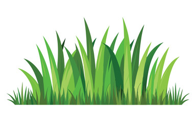 grass on white background