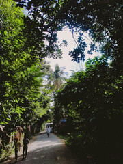 Tropical blue sky with white clouds and tree in the foreground