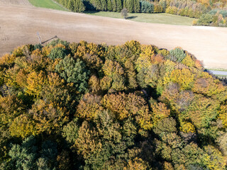 Aerial view of vibrant autumn trees contrasting with a golden field, showcasing nature's beauty in fall. Ideal for landscaping or seasonal themes.