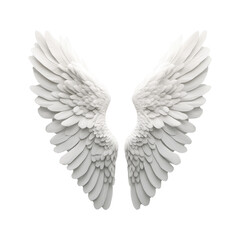 Obraz premium Elegant white angel wings render icon closeup view