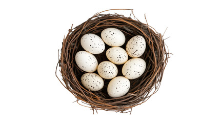 Obraz premium Bird’s nest with speckled eggs on white background