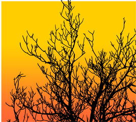 ramas, arbol, dechado, vector, encaje, negro, designio, floral, empapelar, arte, ilustración, flor, con textura