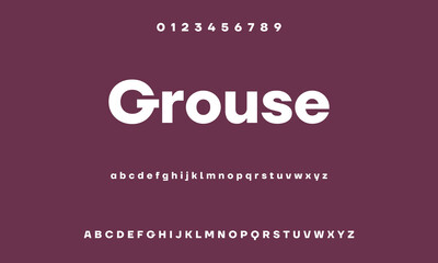 Sans serif font with vintage style typography. Alphabet vector font with Uppercase, lowercase, and number. Regular Bold font with uppercase dan lowercase variation.