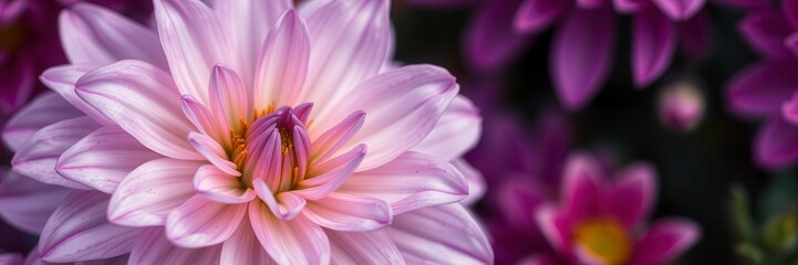 Fototapeta premium Close up of vibrant purple flower petals and delicate leaves in a natural setting, detail, plant