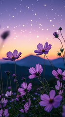 Obraz premium A stunning composition of pink cosmos flowers set against a vibrant sunset, creating a breathtaking view that evokes feelings of tranquility and connection with nature.