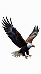 Fototapeta premium Bald eagle in flight with wings spread