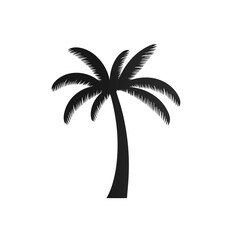 Palm tree icon isolated on white or transparent background.