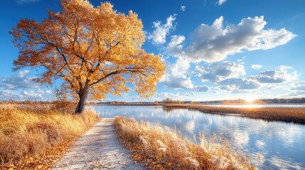 Golden autumn tree by calm lake.