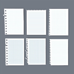 Notebook or book page, Sheets from notebook, Vector illustration