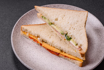 Sandwich with ham, salami, tomatoes, mustard, salt and spices