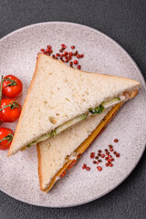 Sandwich with ham, salami, tomatoes, mustard, salt and spices