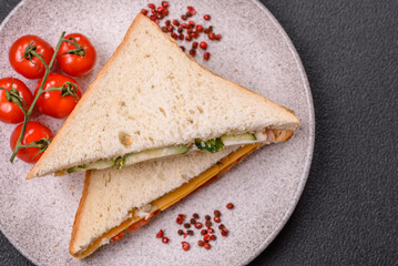 Sandwich with ham, salami, tomatoes, mustard, salt and spices