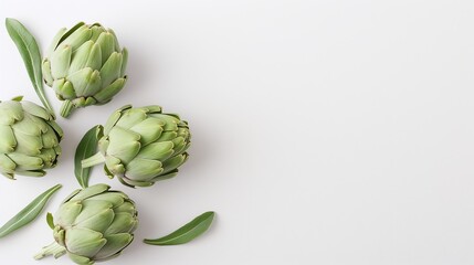 Obraz premium Fresh Artichokes on White Background, Raw Vegetables, Healthy Food, Vegan Ingredient, Copy Space, Food Photography