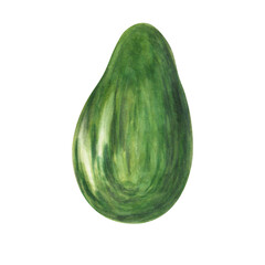 Green avocado on white background. Watercolor. Handmade. Can be used on packaging, stickers.