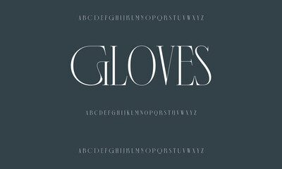 Luxury serif font in modern style. Elegant wedding alphabet letters font and number. Typography Luxury classic lettering serif fonts decorative vintage retro logo
