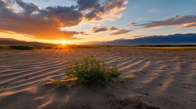 Serene sunset over sandy landscape with gentle ripples and greenery.