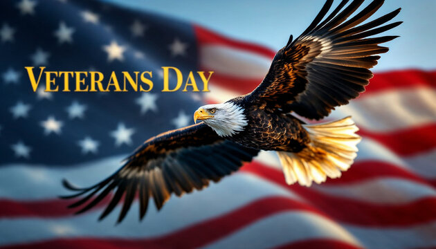 Celebrating Veterans Day with a soaring eagle against a backdrop of the American flag