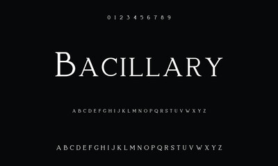 Elegant and modern serif alphabet font uppercase and numberfonts victorian typeface