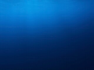 Rippling deep blue sea with sunlight dancing on the surface, aqua, peaceful, marine life