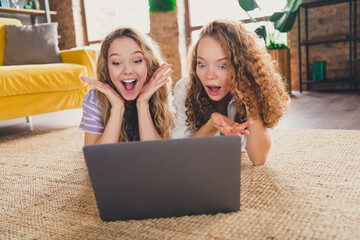 Delighted young girls expressing joy while using a laptop in a cozy living room environment,...