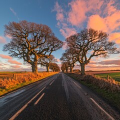 Fototapeta premium Scenic road lined with trees under a colorful sky at sunset.