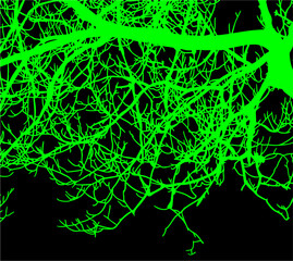 ramas, arbol, dechado, vector, encaje, negro, designio, floral, empapelar, arte, ilustración, flor, con textura