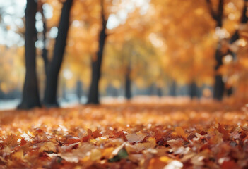 Colorful universal natural autumn background for design with orange leaves in autumn park and blurre