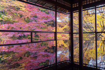 秋の瑠璃光院