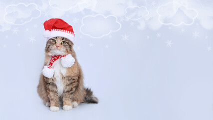  Cute cat wearing a Santa hat and scarf, sitting against a snowy background with snowflakes. Perfect for festive and holiday-themed designs. Merry Christmas. Happy New Year.