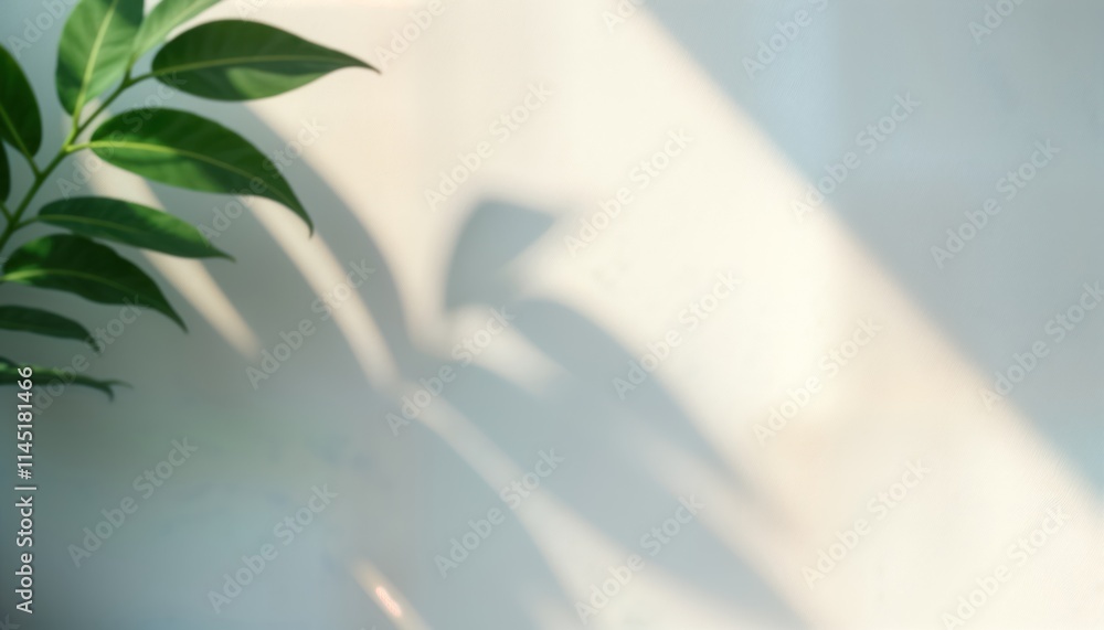 Poster soft sunlight casts gentle shadows of foliage on light gray wall. minimalist abstract backdrop. idea