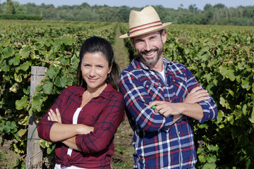 couple in vineyard before harvesting