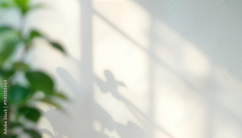 Poster abstract nature scene. soft shadows of leaves, plants on white wall. sunlight creates gentle pattern