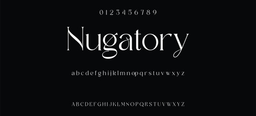 Luxury serif font in modern style. Elegant wedding alphabet letters font and number. Typography Luxury classic lettering serif fonts decorative vintage retro logo