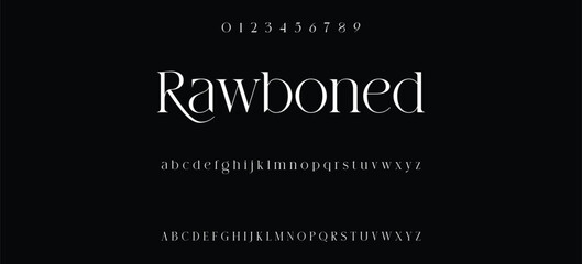 Luxury serif font in modern style. Elegant wedding alphabet letters font and number. Typography Luxury classic lettering serif fonts decorative vintage retro logo