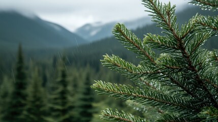 Rain patters gently on the window, blurring the vibrant greens of the forest. Majestic mountains loom in the distance, creating a peaceful and calming environment