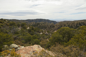 Fototapeta premium Mountain landscape and Rock formations at Chiricahua National Monument, Arizona