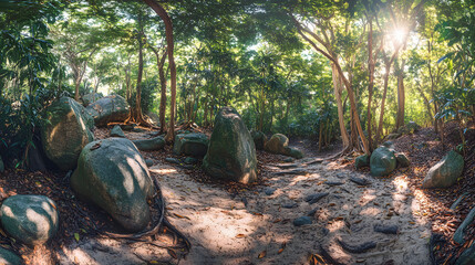 A vibrant tropical jungle clearing with a wooden bridge crossing a small stream surrounded by thick vines and lush greenery.