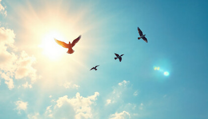 Fototapeta premium Birds soar gracefully against a bright sky during a sunny day in the afternoon light