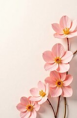 A vertical arrangement of blooming pale pink flowers with soft petals and bright yellow stamens on slender stems, set against a warm, minimal background for an elegant composition