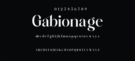 Elegant minimalist serif alphabet display font vector. Decorative typography style