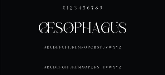 Elegant minimalist serif alphabet display font vector. Decorative typography style