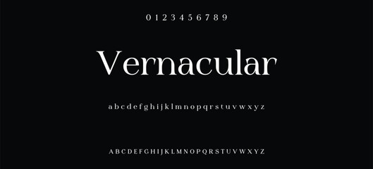 Elegant minimalist serif alphabet display font vector. Decorative typography style