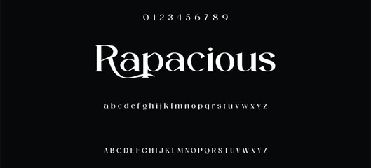 Elegant alphabet letters serif font and number. Classic Lettering Minimal Fashion. Typography fonts regular uppercase, lowercase and numbers. vector illustration