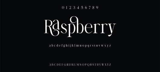 Elegant alphabet letters serif font and number. Classic Lettering Minimal Fashion. Typography fonts regular uppercase, lowercase and numbers. vector illustration